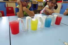 1-º-QUINCENA-AGOSTO-ESCOLA-DE-VERÁN-007