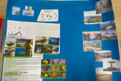 Ciencias-5o-ep-.12-7