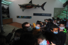 Aquarium-003