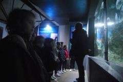 Aquarium-007