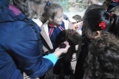 Aquarium-019