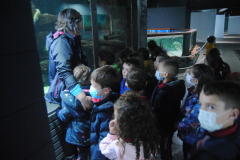 Aquarium-026