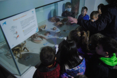 Aquarium-049