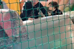 ChristmasMarket25-.00