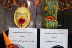 Concurso-cabazas-Samain-2019-003