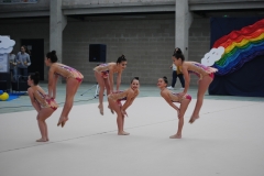 festival rítmica 2019-020