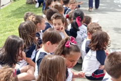 MiniCarreira23-.06-1