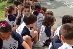 MiniCarreira23-.06-2