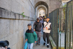 Ponte-014