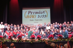 DiarioPontePremiosHqr-.43