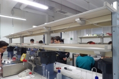 Saída-3º-e-4º-ESO-Santiago-014