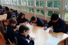 Salida-Primaria-002