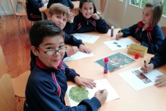 Salida-Primaria-005