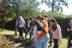 Saída-Tui-Valença033