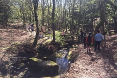 Saída-Tui-Valença079