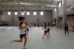 Volley-.15-PM-1