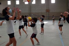 Volley-.15-PM-2
