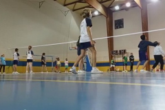 Volley-.16-PM-3
