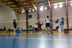 Volley-.17-PM-001
