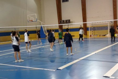 Volley-.18-PM-2
