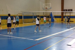 Volley-.18-PM-3