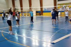 Volley-.18-PM