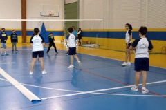 Volley-.19-PM-1