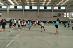 Xogade201934