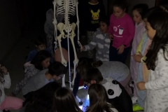 Xornada-de-convivencia-do-Samaín-2019-022