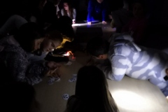 Xornada-de-convivencia-do-Samaín-2019-028