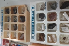 2º-EDUCACIÓN-PRIMARIA-TALLERES-DE-AULA-002