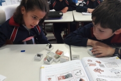 2º-EDUCACIÓN-PRIMARIA-TALLERES-DE-AULA-005