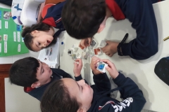 2º-EDUCACIÓN-PRIMARIA-TALLERES-DE-AULA-006