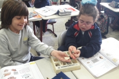 2º-EDUCACIÓN-PRIMARIA-TALLERES-DE-AULA-007