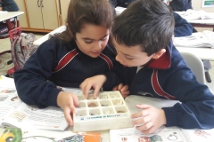 2º-EDUCACIÓN-PRIMARIA-TALLERES-DE-AULA-008
