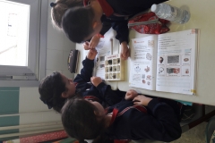 2º-EDUCACIÓN-PRIMARIA-TALLERES-DE-AULA-009