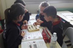 2º-EDUCACIÓN-PRIMARIA-TALLERES-DE-AULA-010