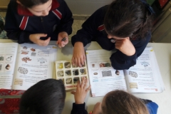 2º-EDUCACIÓN-PRIMARIA-TALLERES-DE-AULA-011