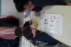 2º-EDUCACIÓN-PRIMARIA-TALLERES-DE-AULA-014