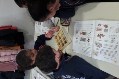 2º-EDUCACIÓN-PRIMARIA-TALLERES-DE-AULA-015