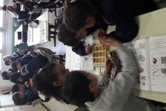 2º-EDUCACIÓN-PRIMARIA-TALLERES-DE-AULA-016