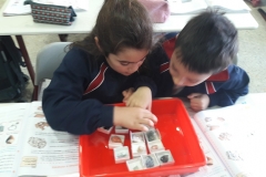 2º-EDUCACIÓN-PRIMARIA-TALLERES-DE-AULA-020