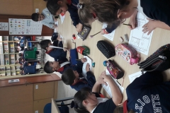 2º-EDUCACIÓN-PRIMARIA-TALLERES-DE-AULA-087