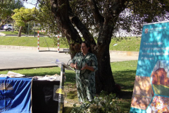 CertificateCambridge-007