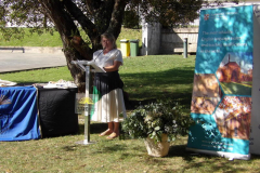 CertificateCambridge-017