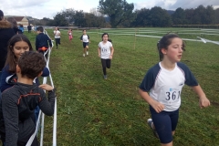 CarreraEp-033