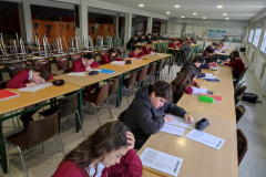 Cangur23-025