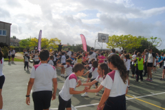Carreira23-011