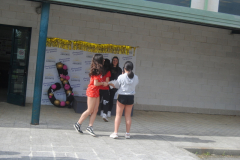 Carreira23-012