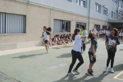 Carreira23-013